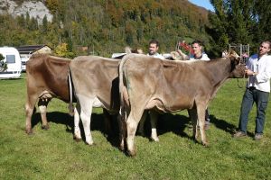 004Schneuter jngere von re nach li